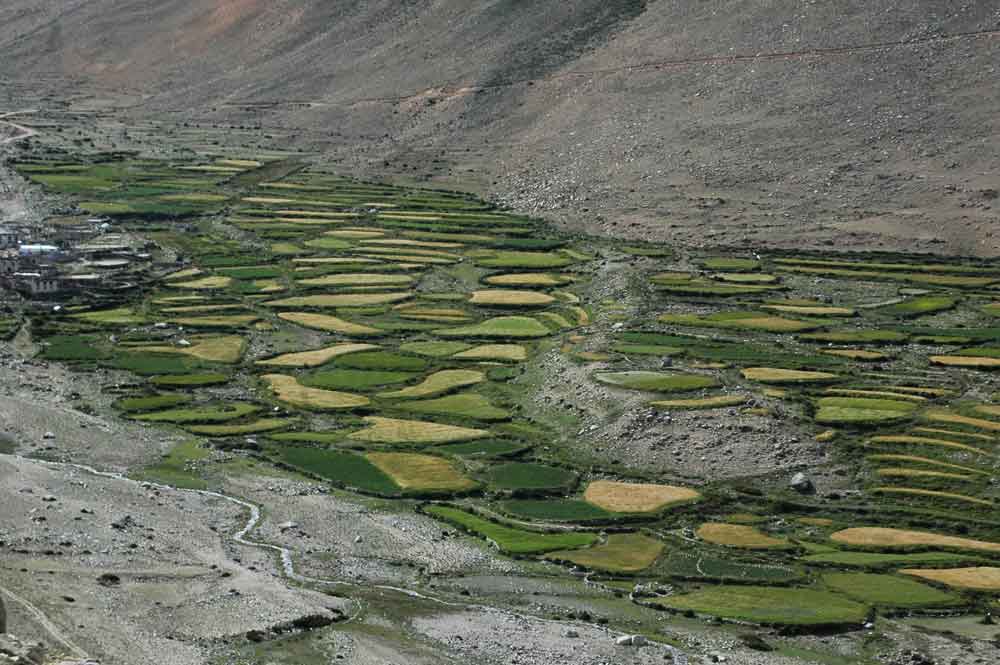 95 - Tibet - panoramica